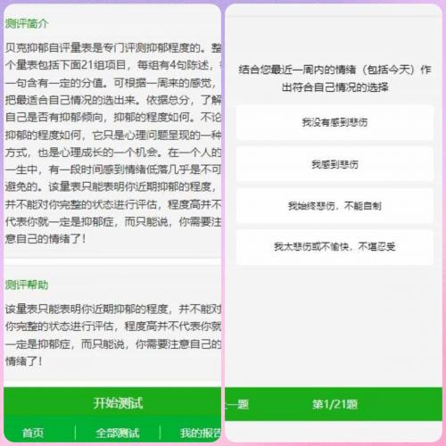 付费心理测试网站源码、心理测试H5变现源码、心理测评网站源码